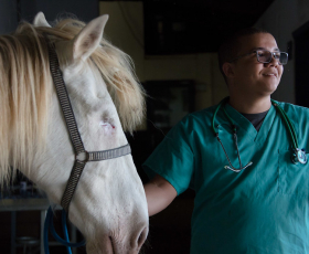 Cavalo Bino e o estudante Jhonis Sousa no Hospital-Escola Veterinário (HVet) da Universidade de Brasília. Foto: Amália Gonçalves. 09/08/2018