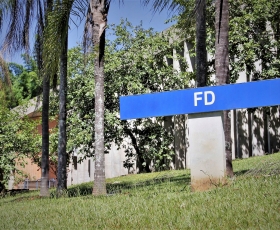 FD - Faculdade de Direito