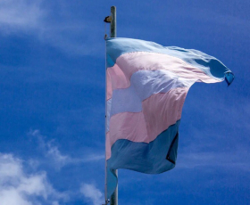 Bnadeira do Orgulho Trans, hasteada no Dia da Visibilidade Trans. 29/01/2022